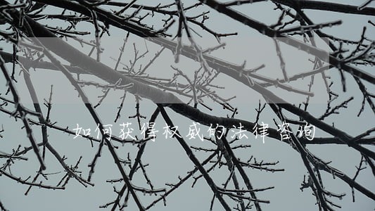 如何获得权威的法律咨询 如何获得权威的法律咨询