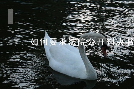 如何要求法院公开判决书 如何要求法院公开判决书
