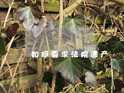 如何要求法院遗产 如何要求法院遗产