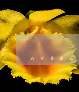 如何要求玖富万卡只还本金 如何要求玖富万卡只还本金