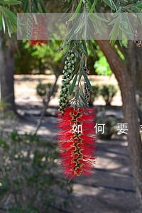 如何要求网贷只还本金 如何要求网贷只还本金