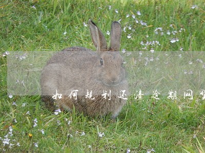 如何规划还清逾期网贷