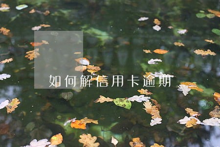 如何解信用卡逾期 如何解信用卡逾期