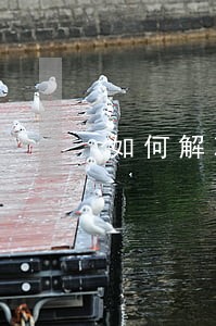 如何解决信用卡的逾期 如何解决信用卡的逾期