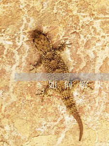 如何解决信用卡账单逾期问题 如何解决信用卡账单逾期问题