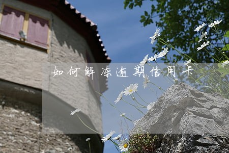 如何解冻逾期信用卡 如何解冻逾期信用卡
