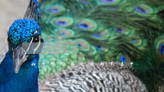 如何解除银行逾期黑名单 如何解除银行逾期黑名单