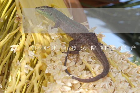 如何计算被法院拍卖房产的税收 如何计算被法院拍卖房产的税收