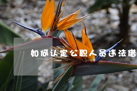 如何认定公职人员违法借贷 如何认定公职人员违法借贷