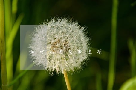 如何认定贷款逾期 如何认定贷款逾期