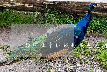 如何让中国银行减免逾期利息 如何让中国银行减免逾期利息
