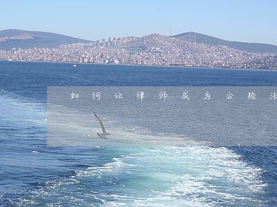 如何让律师成为公检法公务员 如何让律师成为公检法公务员