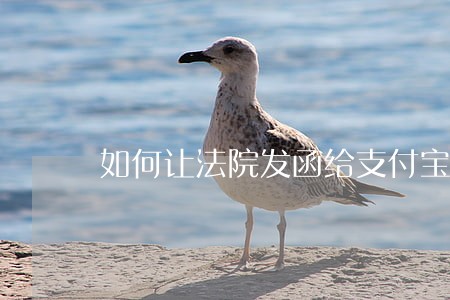 如何让法院发函给支付宝 如何让法院发函给支付宝