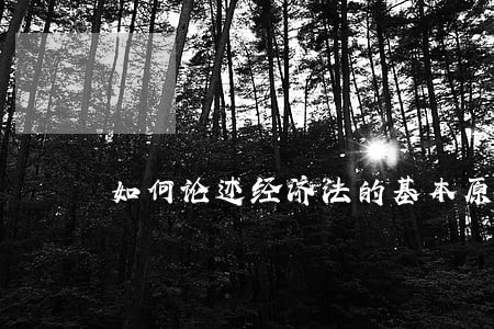 如何论述经济法的基本原则 如何论述经济法的基本原则