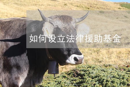 如何设立法律援助基金 如何设立法律援助基金