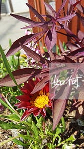 如何证明法院执行不力 如何证明法院执行不力