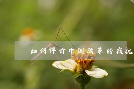 如何评价中国改革的成就 如何评价中国改革的成就
