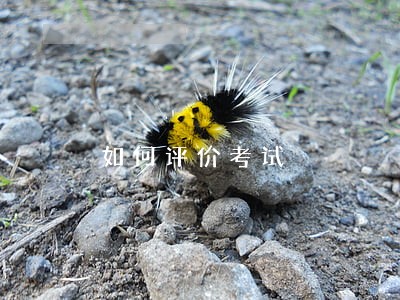如何评价考试 如何评价考试