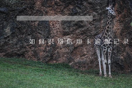如何识别信用卡逾期记录