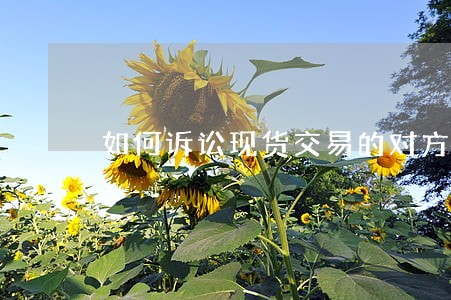 如何诉讼现货交易的对方 如何诉讼现货交易的对方