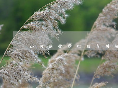 如何请律师打债务纠纷官司 如何请律师打债务纠纷官司