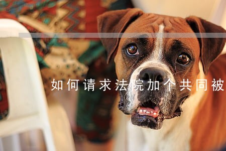 如何请求法院加个共同被告 如何请求法院加个共同被告