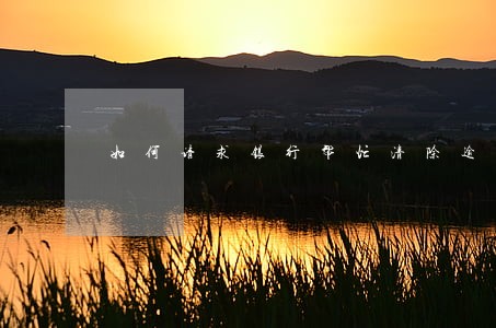 如何请求银行帮忙清除逾期 如何请求银行帮忙清除逾期