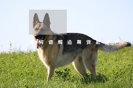 如何调解逾期贷款资产 如何调解逾期贷款资产