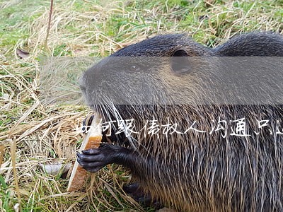 如何跟债权人沟通只还本金