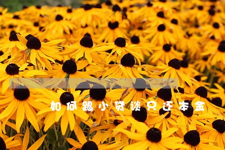如何跟小贷谈只还本金