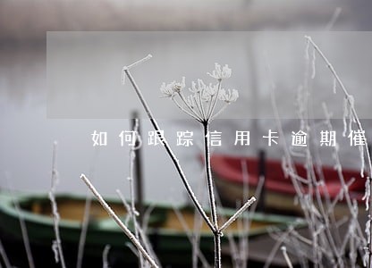 如何跟踪信用卡逾期催收 如何跟踪信用卡逾期催收