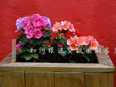 如何跟进贷款逾期客户 如何跟进贷款逾期客户