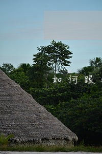 如何跟银行协商信用卡逾期