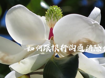 如何跟银行沟通消除信用卡逾期 如何跟银行沟通消除信用卡逾期