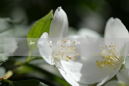 如何进行诉讼 如何进行诉讼