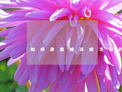 如何追查被法院冻结的汽车 如何追查被法院冻结的汽车