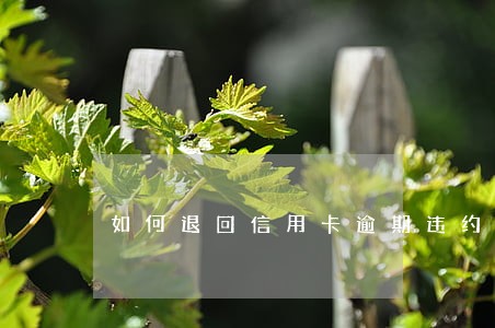 如何退回信用卡逾期违约金