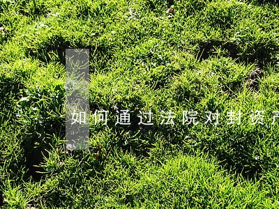 如何通过法院对封资产 如何通过法院对封资产