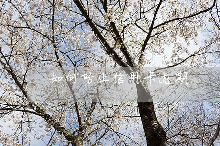 如何防止信用卡逾期 如何防止信用卡逾期
