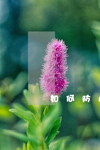如何防止法院冻结资金 如何防止法院冻结资金