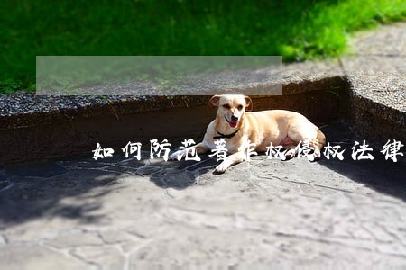 如何防范著作权侵权法律风险 如何防范著作权侵权法律风险