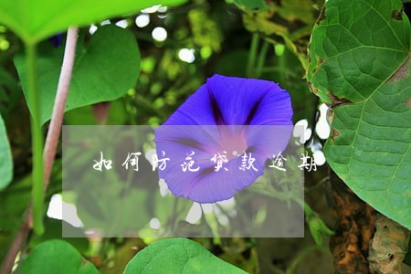 如何防范贷款逾期 如何防范贷款逾期