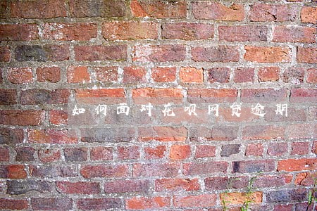 如何面对花呗网贷逾期