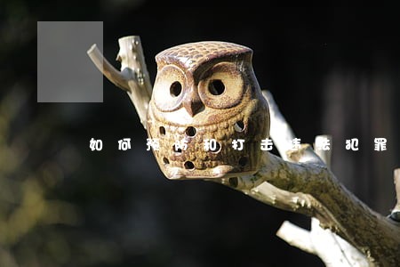 如何预防和打击违法犯罪