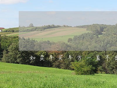 如卖车买车方一直不出钱属违法吗