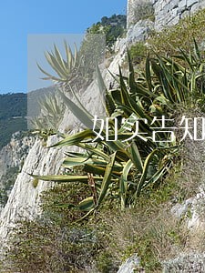 如实告知义务的司法判断 如实告知义务的司法判断