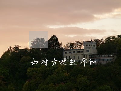 如对方提起诉讼 如对方提起诉讼