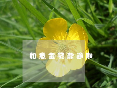 如意金贷款逾期 如意金贷款逾期