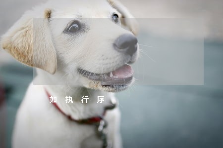 如执行序