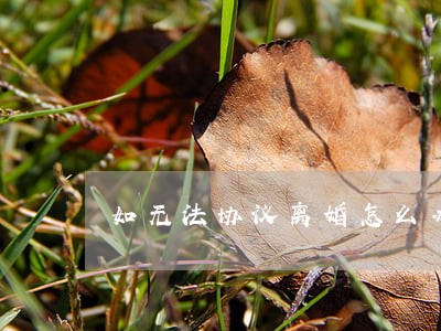 如无法协议离婚怎么办 如无法协议离婚怎么办